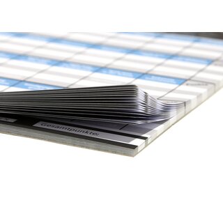 DENKRIESEN - STADT LAND VOLLPFOSTEN� - BLUE EDITION - Wissen ist Macht