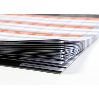 DENKRIESEN - STADT LAND VOLLPFOSTEN� - A3-DOPPELPACK - SLV + SLV Blue Edition