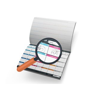 DENKRIESEN - STADT LAND VOLLPFOSTEN� - PICASSO EDITION - Mal was Neues. Das ORIGINAL STADT LAND FLUSS ZUM MALEN